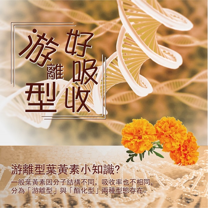 【美陸生技AWBIO】游離形好吸收:游離行葉黃素小知識?一般葉黃素因分子結構不同，吸收率也不相同，分為游離型與酯化型兩種型態存在。