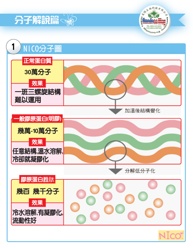 美陸生技AWBIO NICO魚鱗膠原蛋白分子圖正常蛋白質:30萬分子,效果一般三螺旋結構難以運用 一般膠原蛋白(明膠)幾萬-10萬分子,效果任意結構溫水溶解,冷卻就凝膠化 膠原蛋白胜肽幾百-幾千分子,效果冷水溶解,有凝膠化,流動性好