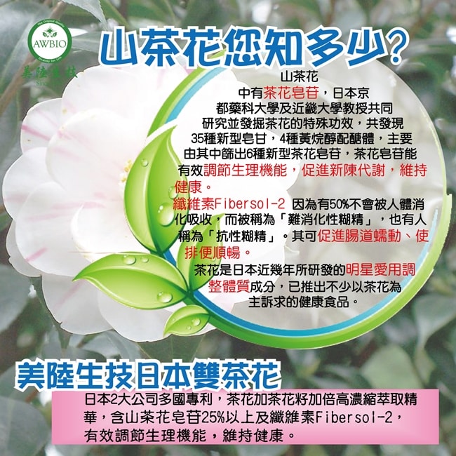 山茶花中有茶花皂苷，日本京都藥科大學及近畿大學教授共同研究並發掘茶花的特殊功效，共發現35種新型皂甘，4種黃烷醇配醣體，主要由其中篩出6種新型茶花皂苷，茶花皂苷能有效調節生理機能，促進新陳代謝，維持健康。纖維素Fibersol-2 因為有50%不會被人體消化吸收，而被稱為「難消化性糊精」，也有人稱為「抗性糊精」。其可促進腸道蠕動、使排便順暢。茶花是日本近幾年所研發的明星愛用調整體質成分，已推出不少以茶花為主訴求的健康食品。 日本2大公司多國專利，茶花加茶花籽加倍高濃縮萃取精華，含山茶花皂苷25%以上及纖維素Fibersol-2，有效調節生理機能，維持健康。