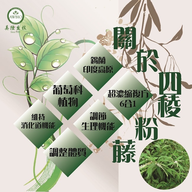 關於四稜粉藤:源自錫蘭印度高原,屬葡萄科植物,能維持消化道機能,調整體質,調節生理機能,是超濃縮複方6合1